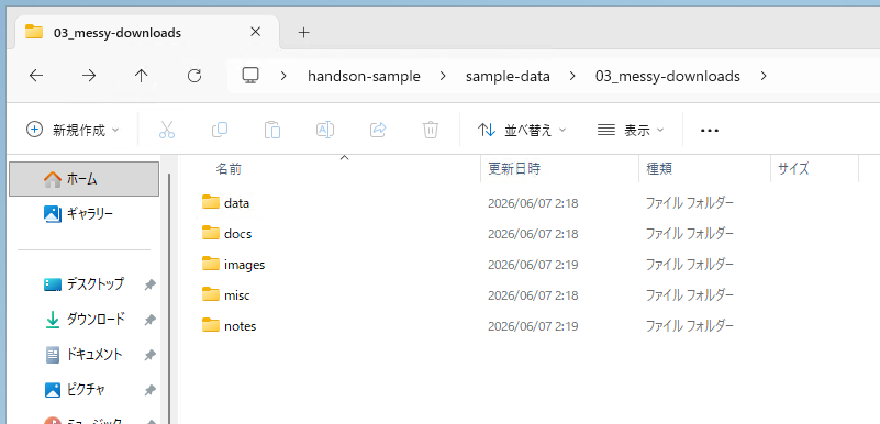 整理後の 03_messy-downloads フォルダ。カテゴリ別のサブフォルダに仕分けられた状態（1）