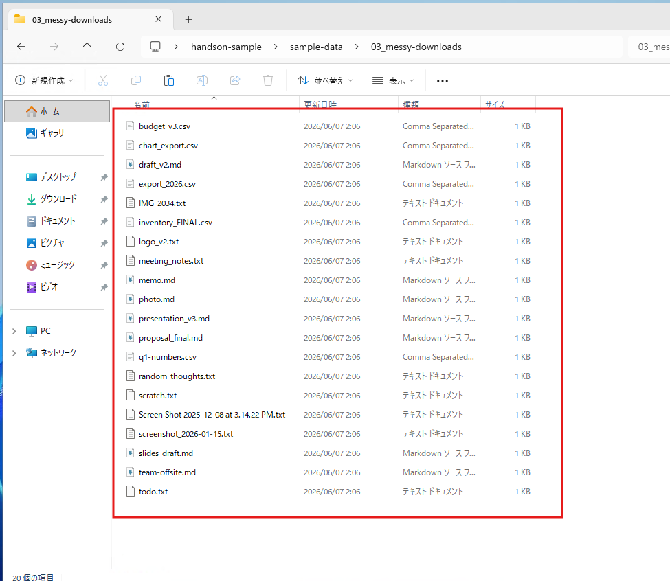 整理前の 03_messy-downloads フォルダの中身。種類も命名もバラバラのファイルが散らかっている状態